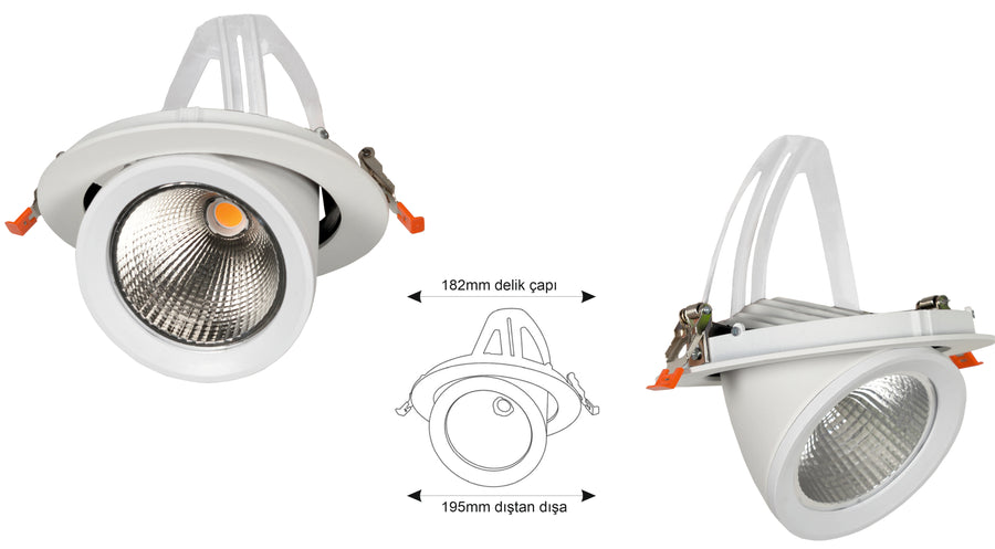 Snail Salyangoz MRY-2531