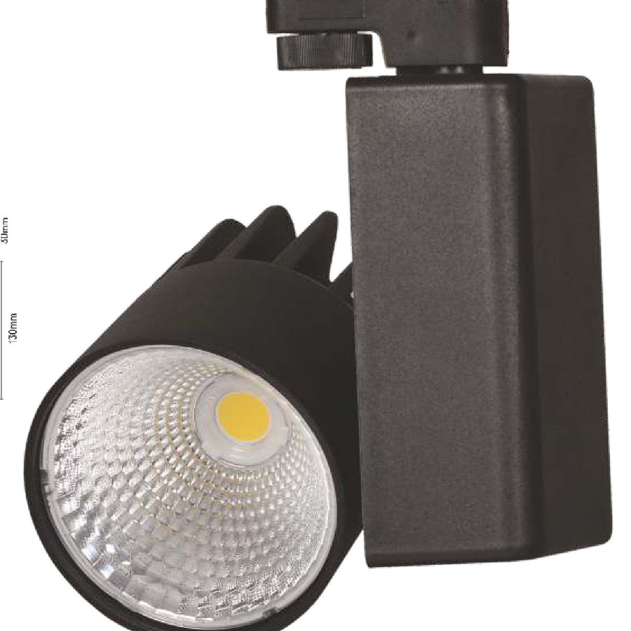 Lion COB LED Ray Spot