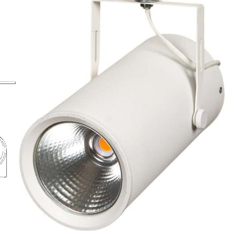 Power 120 COB LED Ray Spot