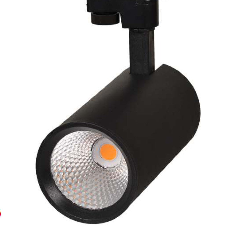 Tiger COB LED Ray Spot